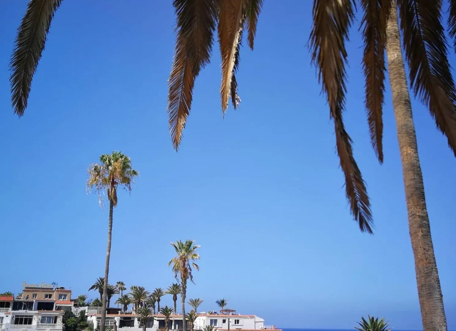 Zama Tamara - Swimming Pool - Ac Apartment Acantilado de los Gigantes